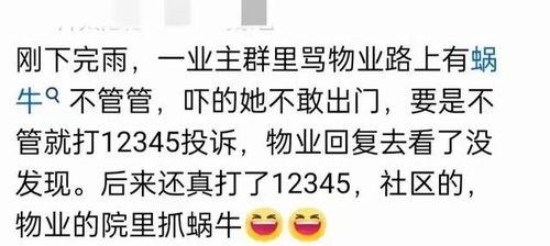 全网吃瓜QQ群免费,揭秘热门话题背后的真相与笑料 第2张 全网吃瓜QQ群免费,揭秘热门话题背后的真相与笑料 第2张