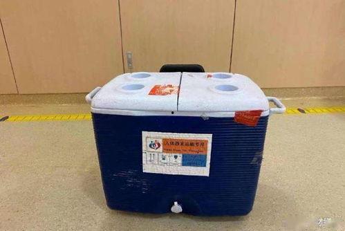 观光爆料箱视频大全,揭秘热门景点背后的故事与趣闻