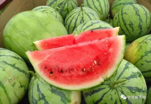 今日娱乐吃瓜小料,今日吃瓜小料大揭秘 第3张 今日娱乐吃瓜小料,今日吃瓜小料大揭秘 第3张