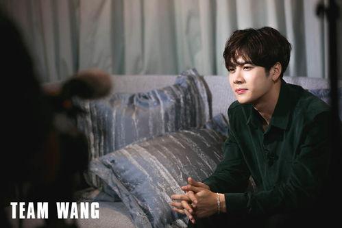 王嘉尔的爆料视频在线观看,娱乐圈幕后真相大曝光！  第2张